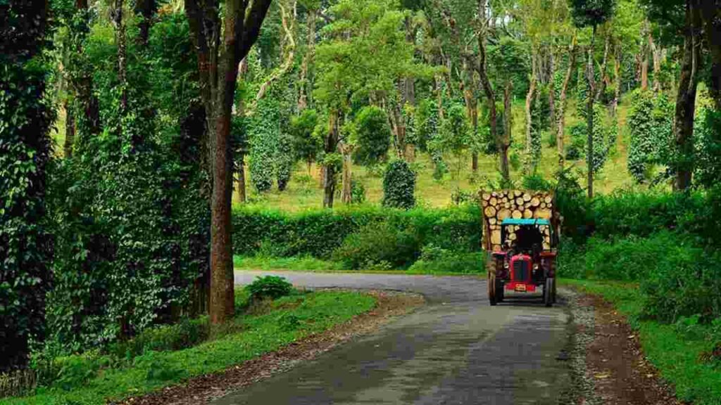 Bangalore to Coorg