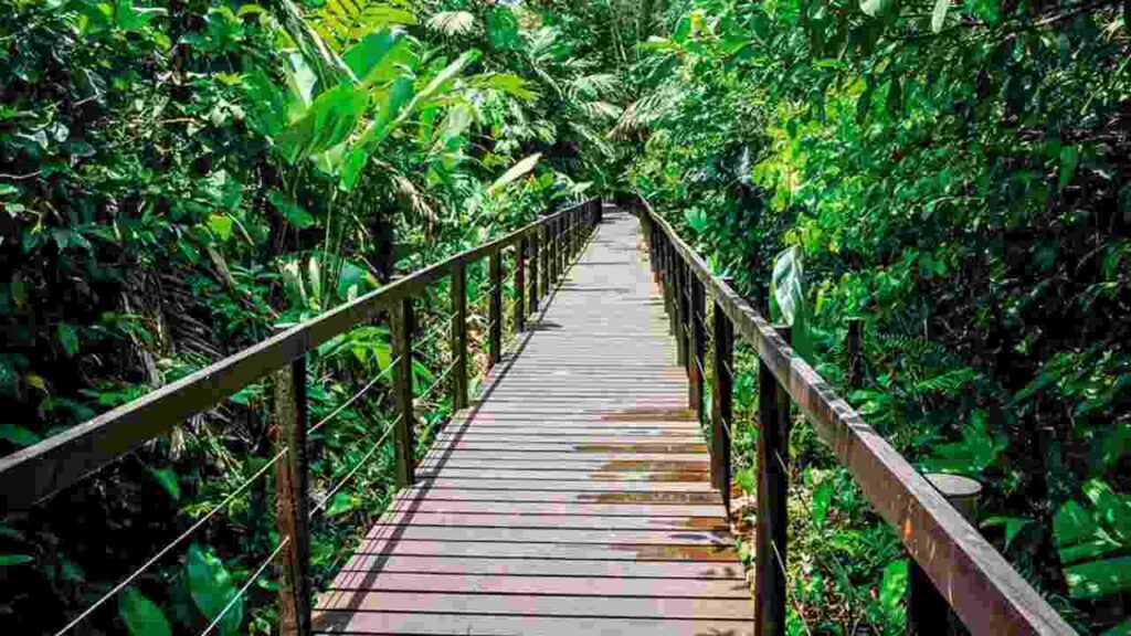 Cahuita National Park