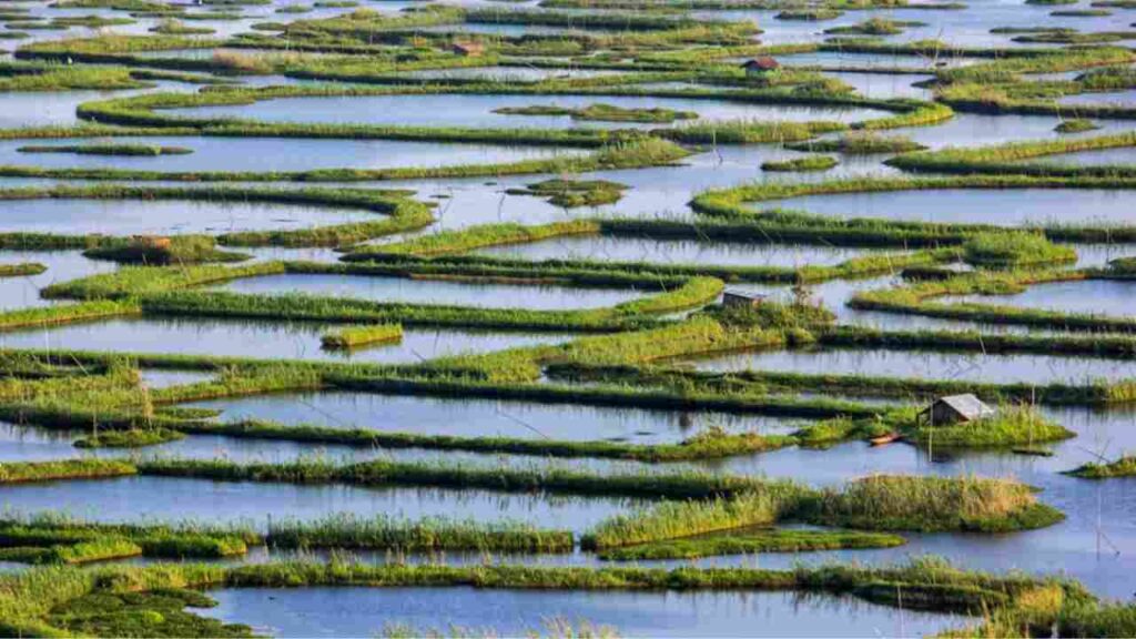 Floating Islands in Loktak Lake, Manipur