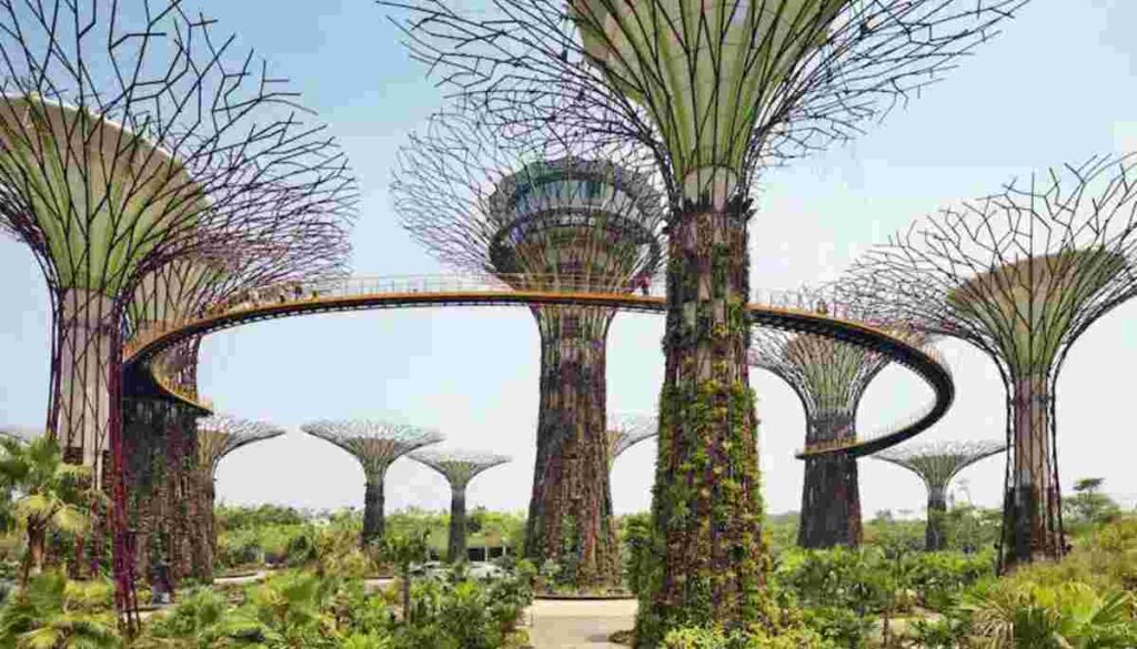 Gardens by the bay (singapore)