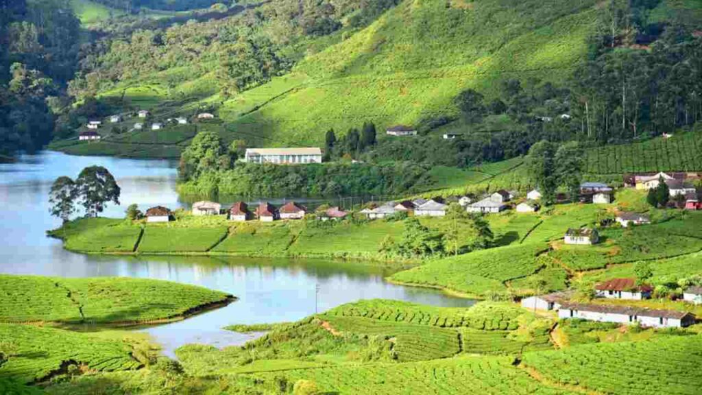 Munnar, Kerala