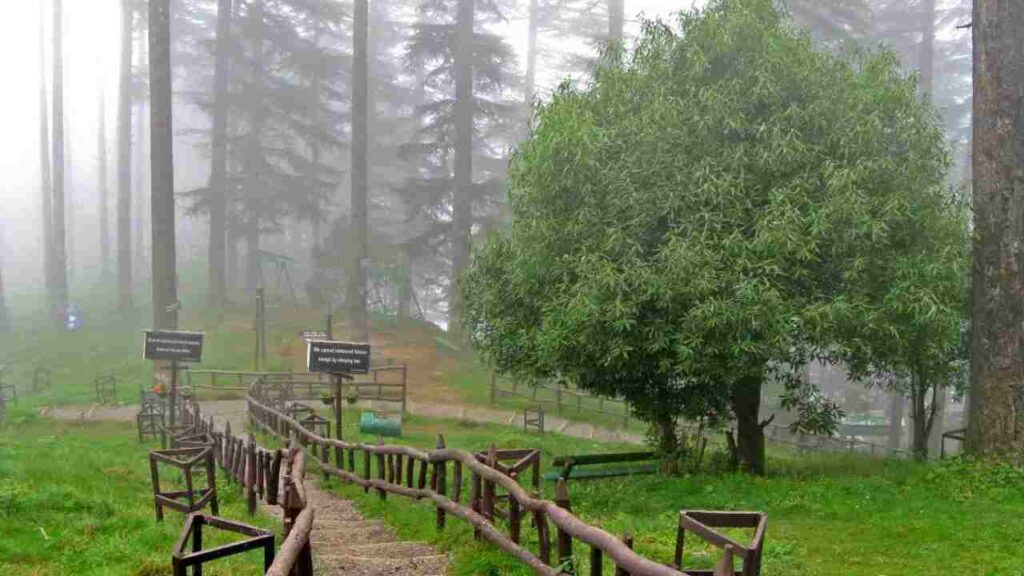 Dhanaulti