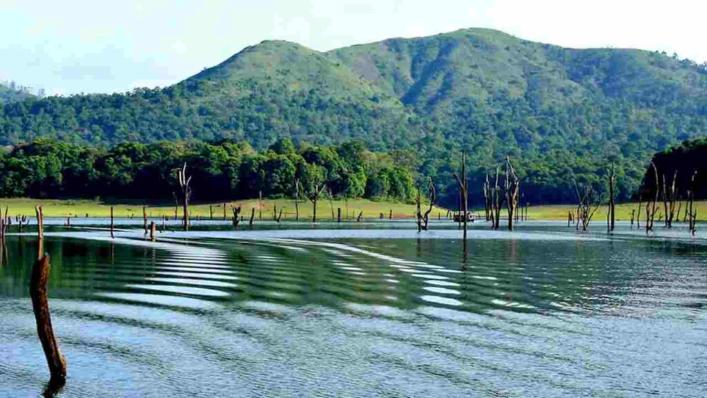 Thekkady