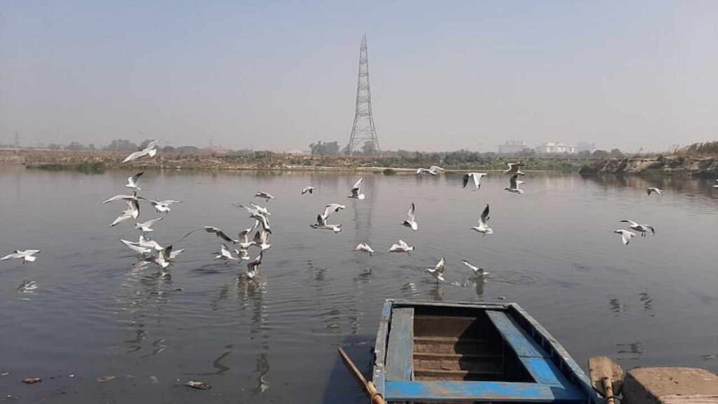 Yamuna Ghat River